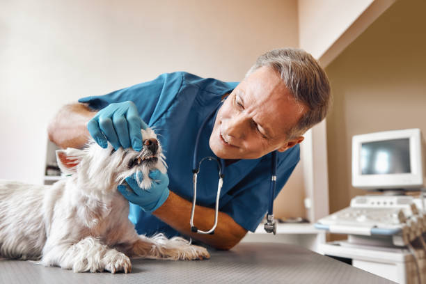 Best Emergency Denture Repair in Cleveland, TX
